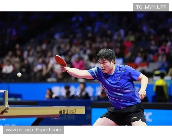 媒体聚焦樊振东反手神准，状态回暖成热点，樊振东反手为何那么强