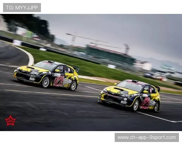 世界拉力锦标赛赛季战术策略研究 世界拉力锦标赛赛季战术策略研究