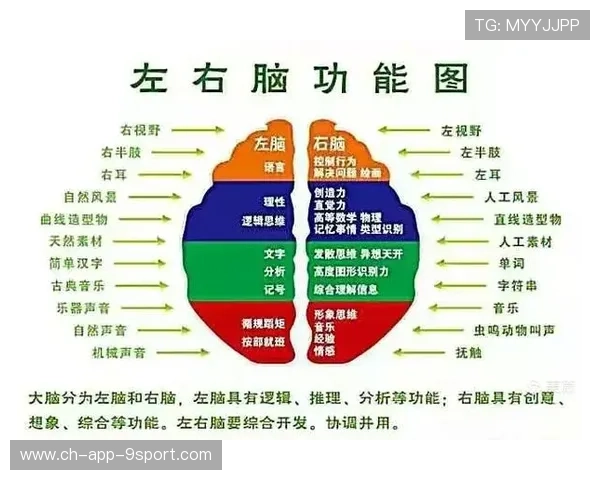 职业比赛中的反视野布置策略逻辑设计